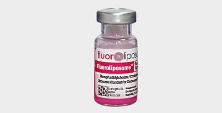 Fluoroliposome -DiI (fluorescent control liposomes).