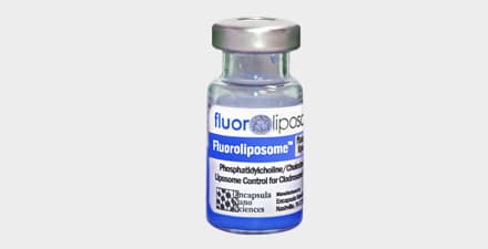 Fluoroliposome -DiD (fluorescent control liposomes).