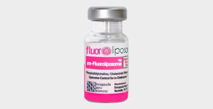 Mannosylated fluorescent liposomes w/ DiI