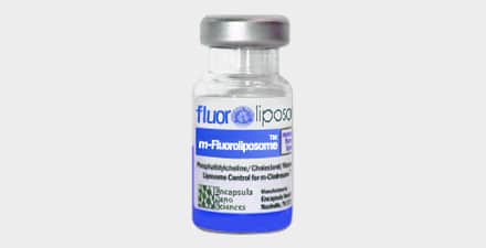 Mannosylated fluorescent liposomes w/DiD