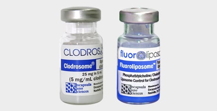 The kit contains one vial of Clodrosome and one vial of Fluoroliposome-DiD