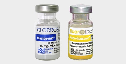 The kit contains one vial of Clodrosome and one vial of Fluoroliposome-DiO