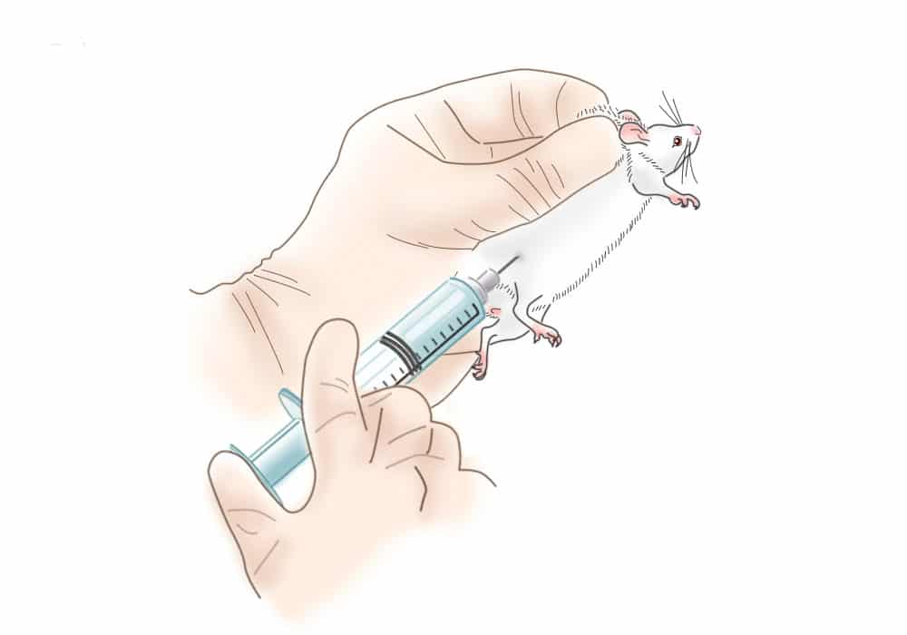Subcutaneous injection of Clodrosome