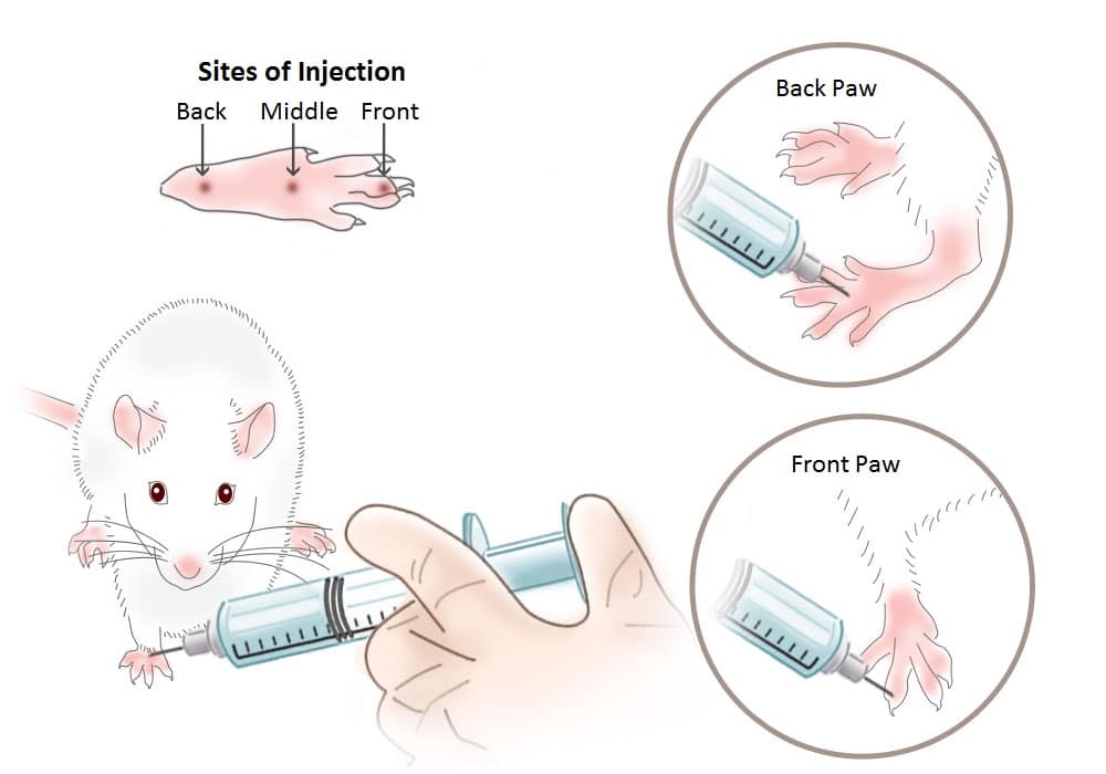 foot-pad-injection (1)